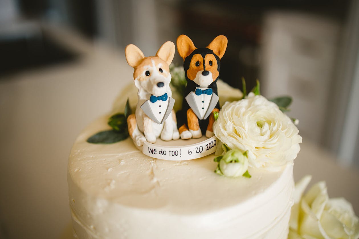 wedding cake topper with ceramic dogs wearing bride and groom outfits | PartySlate