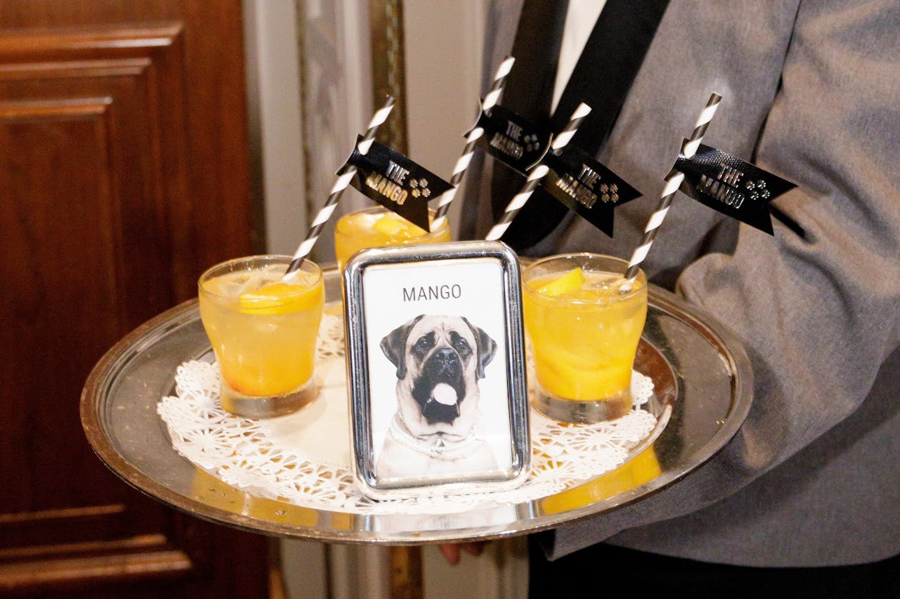 drawing of dog with word mango on cocktail tray | PartySlate