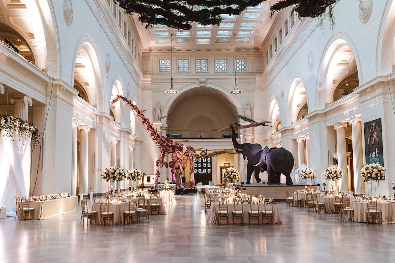 Gold, Ivory & Dinosaurs | Intimate Summer Wedding Ceremony & Reception at the Field Museum in Chicago, IL