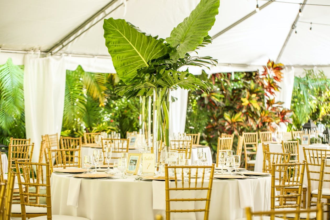 Towering tropical centerpieces in white wedding tent | PartySlate