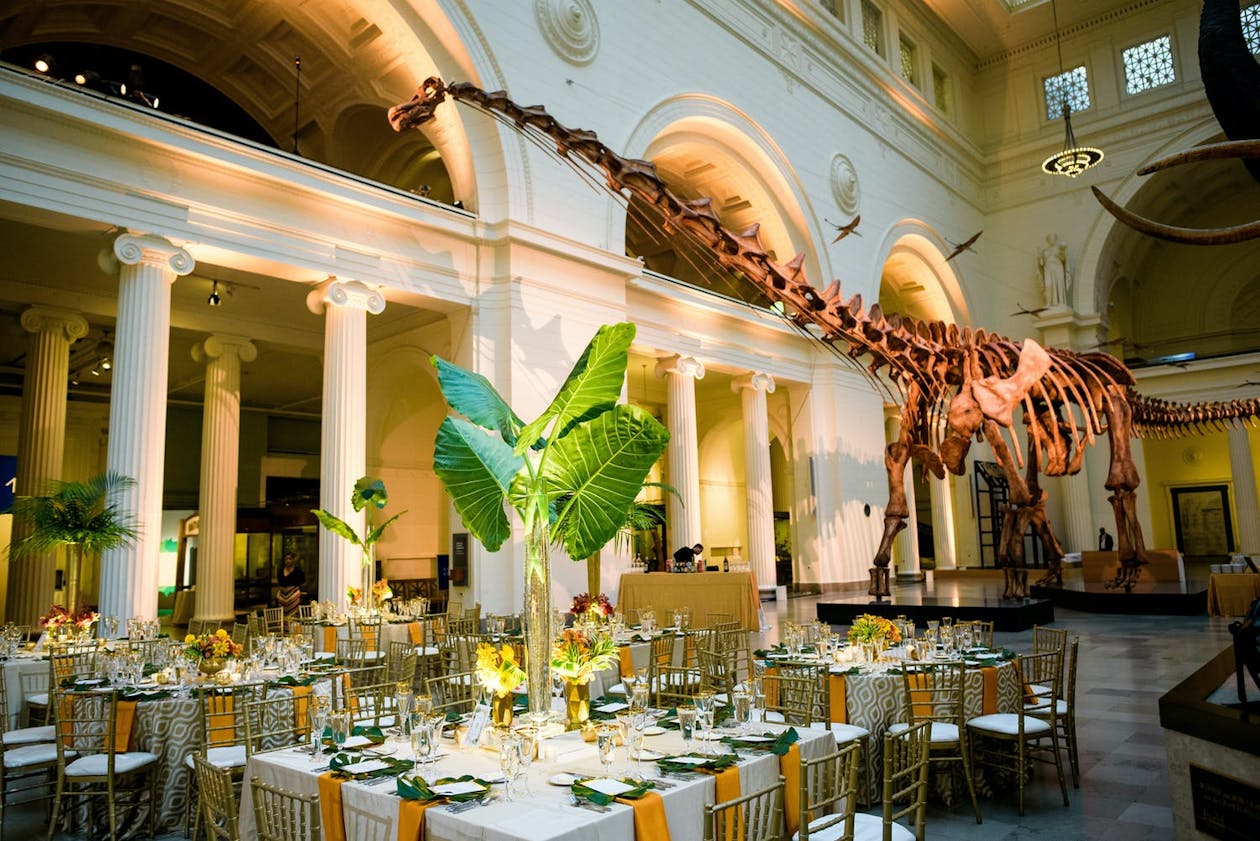 Wedding at Field Museum with large tropical leaf centerpieces and giant dinosaur fossil in backdrop | PartySlate