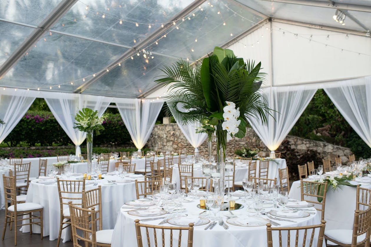 Transparent wedding tent with tall palm leaf centerpieces with cascade of white orchids | PartySlate