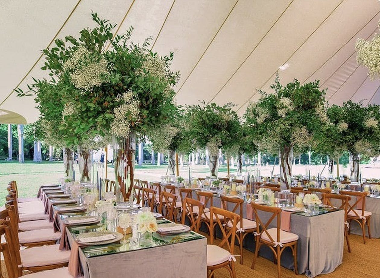 Wedding With Trees as Centerpieces With Greenery and White Florals | PartySlate