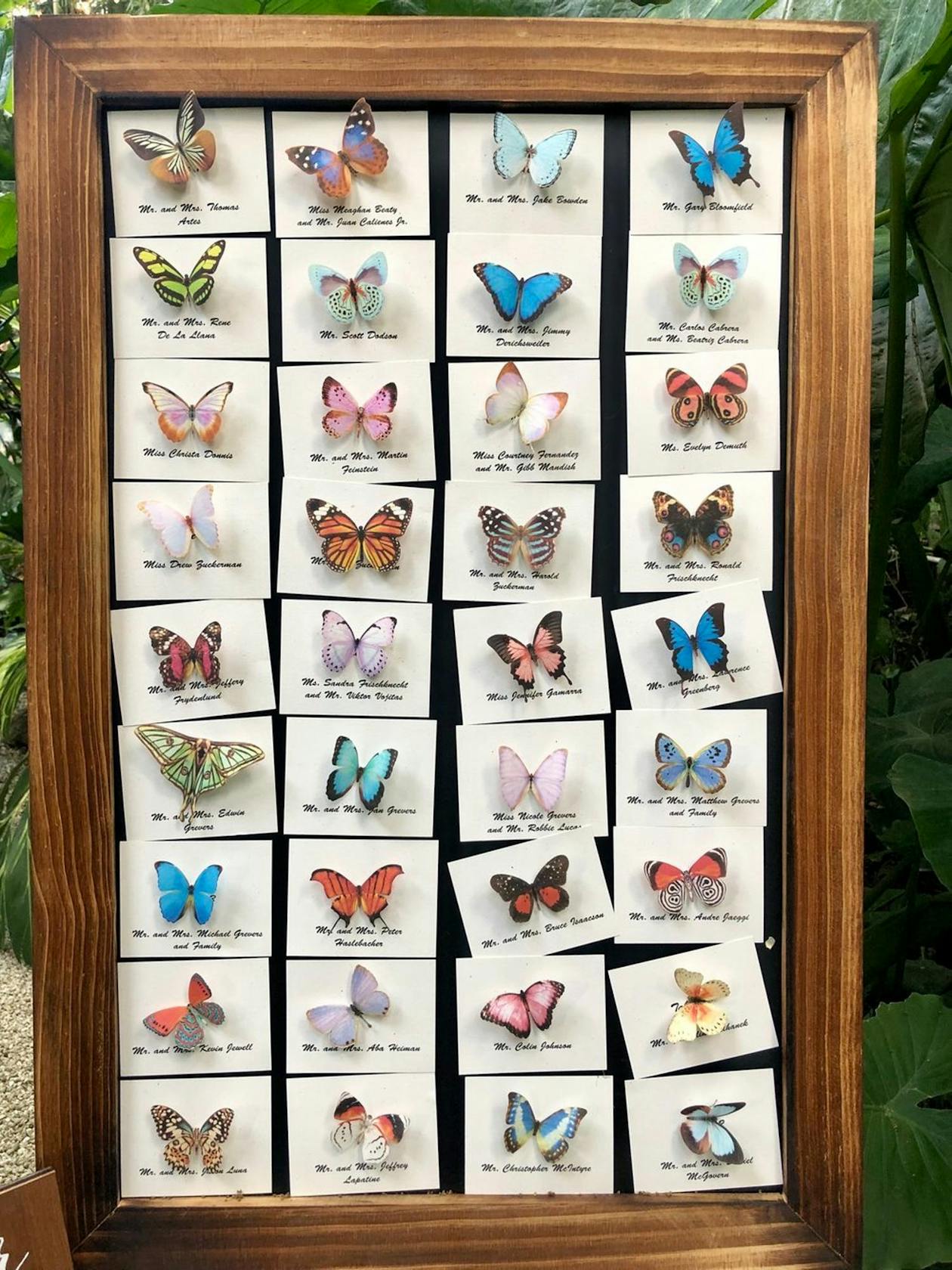 Butterfly wedding escort cards on blue vintage dresser | PartySlate