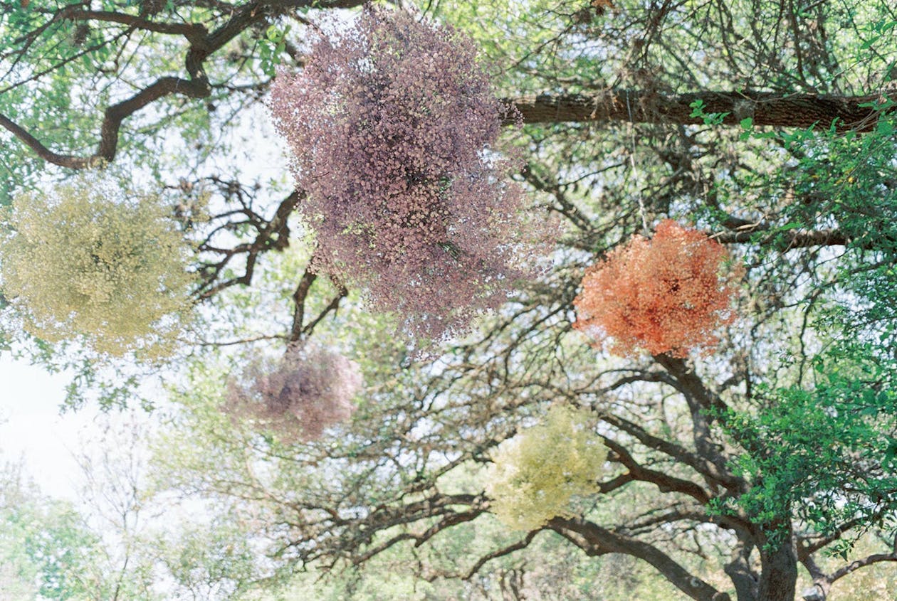 Dyed clouds of baby's breath suspended from trees | PartySlate
