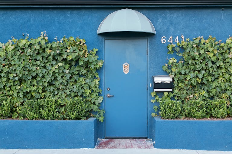 Blue front door with greenery planters at The Fig House in Lost Angeles | PartySlate