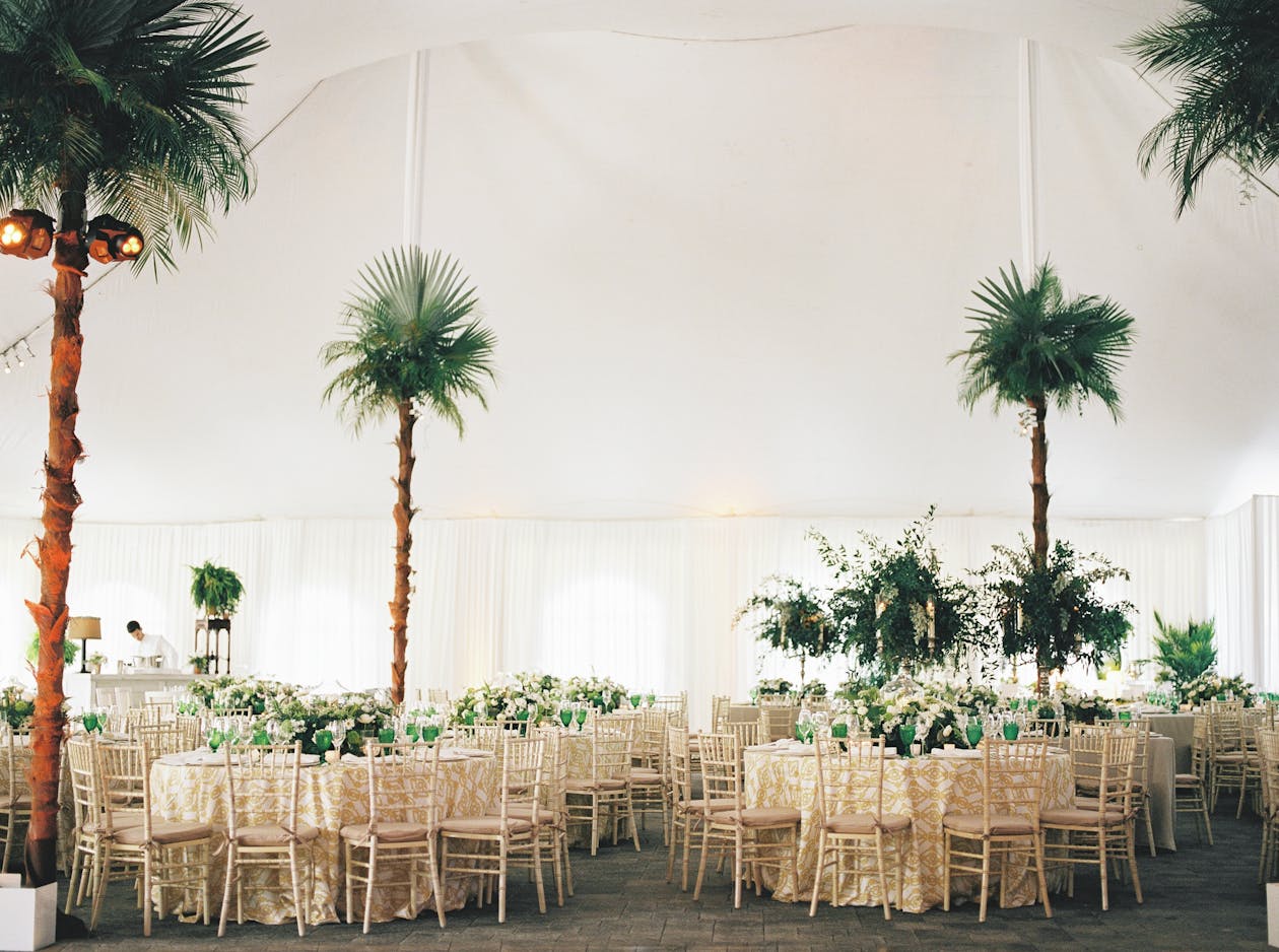 Tented wedding with tropical palm trees inside | PartySlate