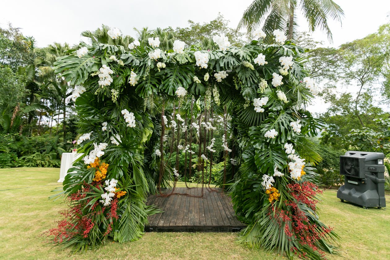 Tropical wedding arch of lavish monstera leaves | PartySlate