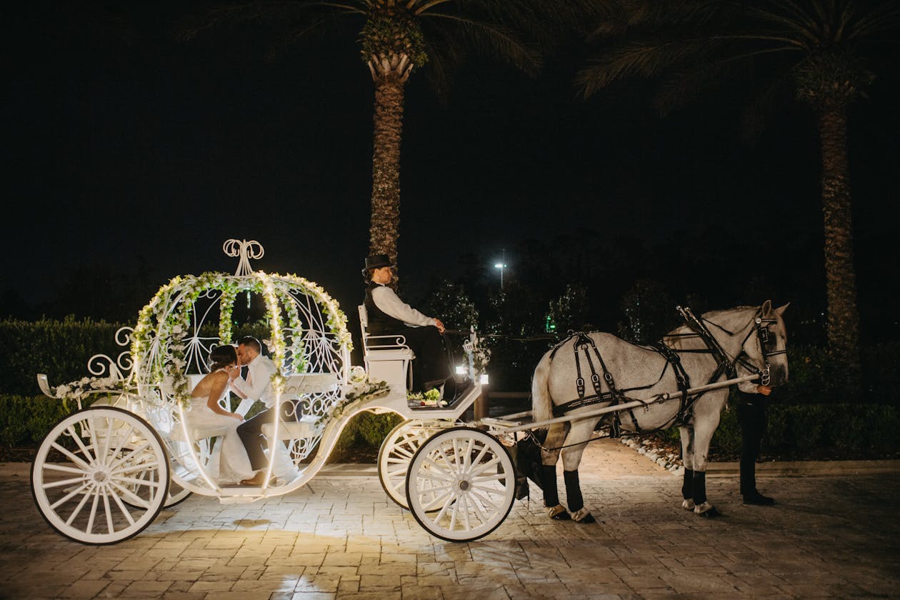 Romantic wedding carriage ride at night | PartySlate