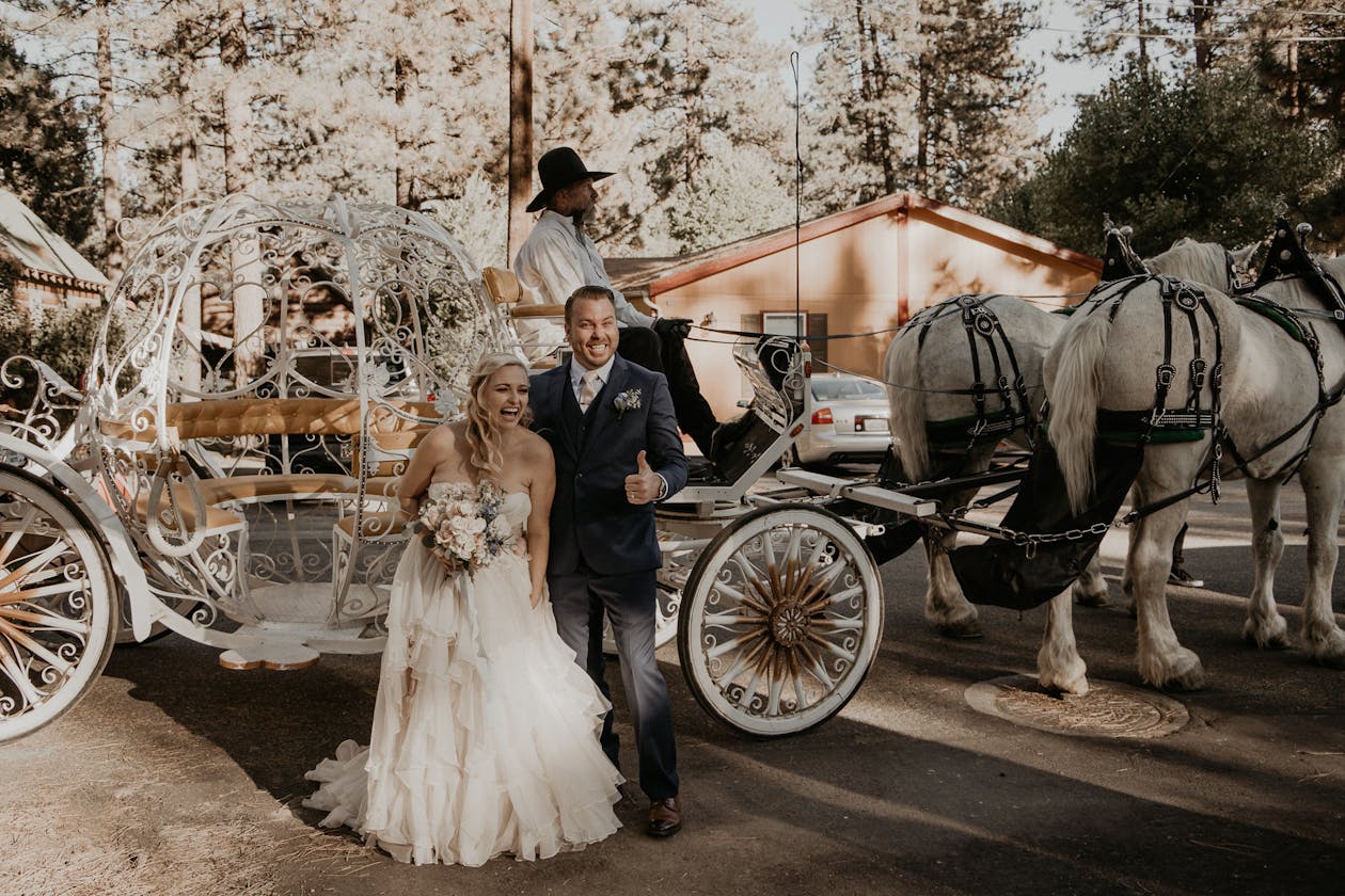 Romantic wedding carriage ride for bride and groom | PartySlate