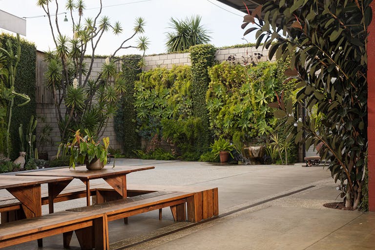 SmogShoppe courtyard with greenery in Los Angeles | PartySlate
