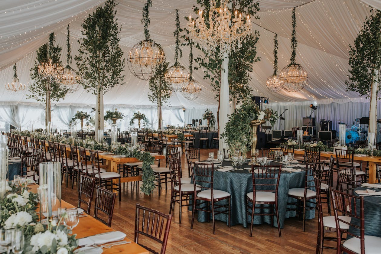 Summer tented wedding with chandeliers and tree centerpieces | PartySlate