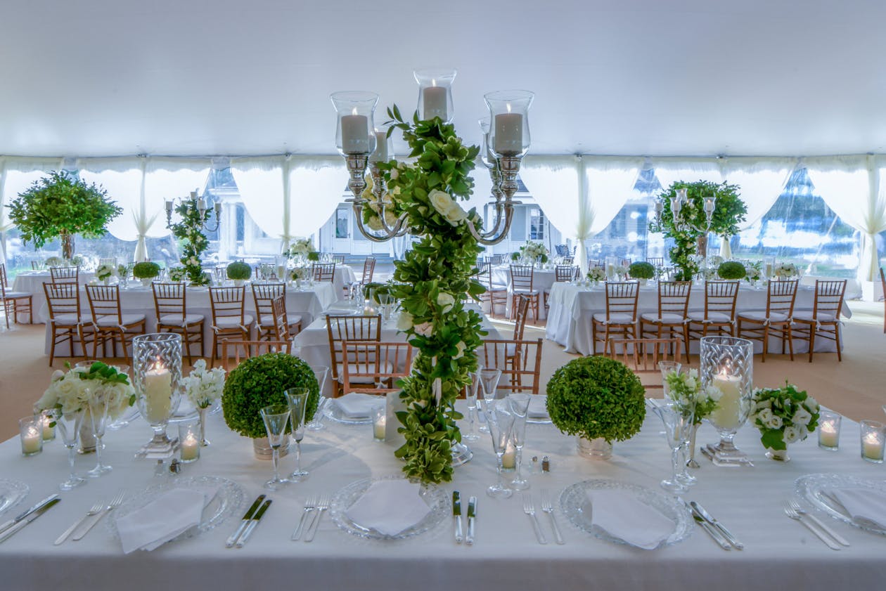 Tented wedding with topiary centerpieces | PartySlate