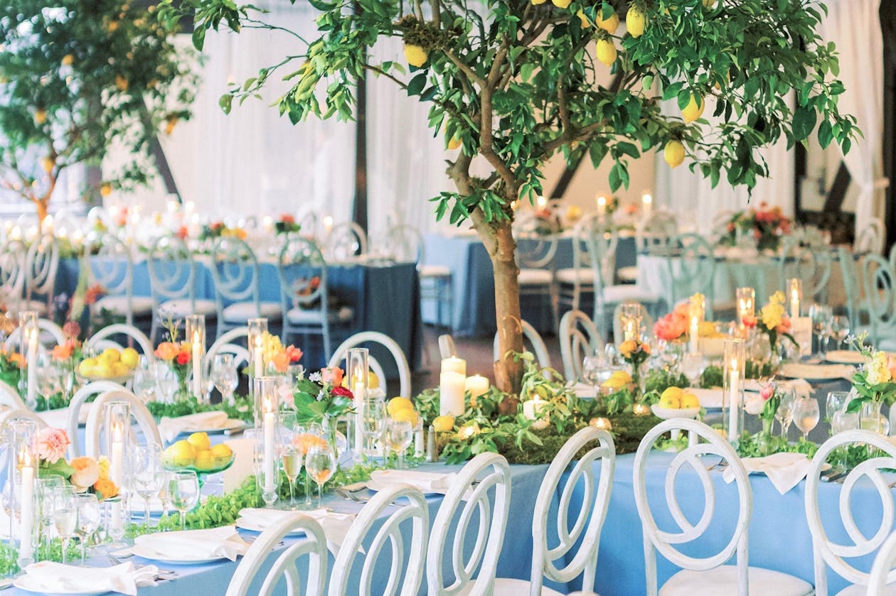 Summer wedding reception with lemon centerpieces, blue linen, and tree tops | PartySlate