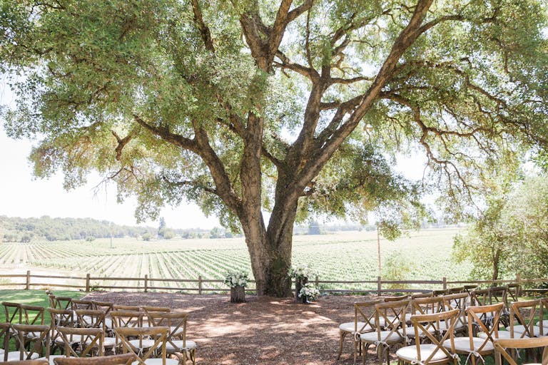 dreamy winery wedding with seats surrounding an outdoor alter in front of vineyards | PartySlate