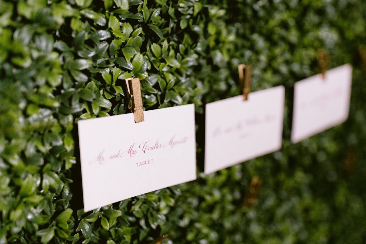 White wedding escort cards on boxwood backdrop | PartySlate