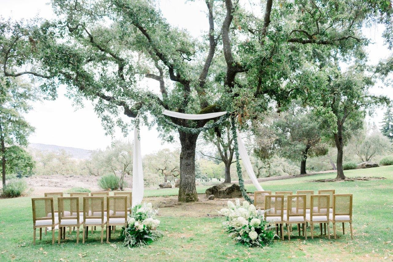 The Best Wedding Chair Rentals For Your Wedding Style PartySlate   Magical Intimate Vineyard Wedding At Chandon In Yountville Ca 1238041 