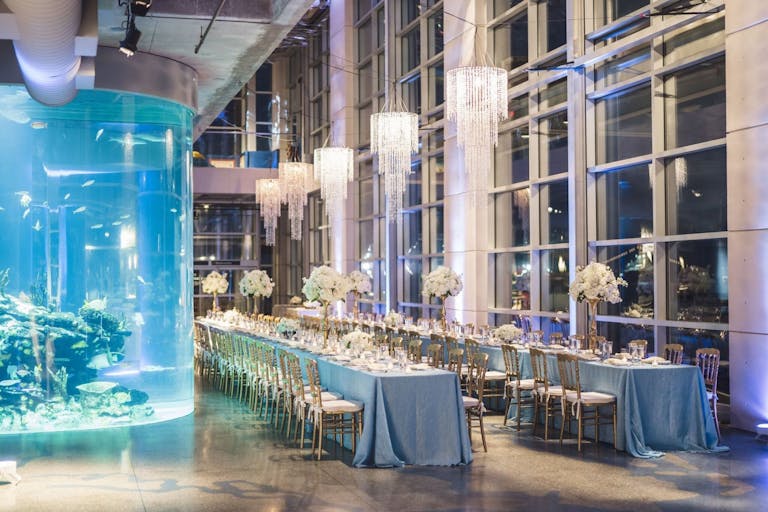 stunning wedding at South Carolina Aquarium | PartySlate