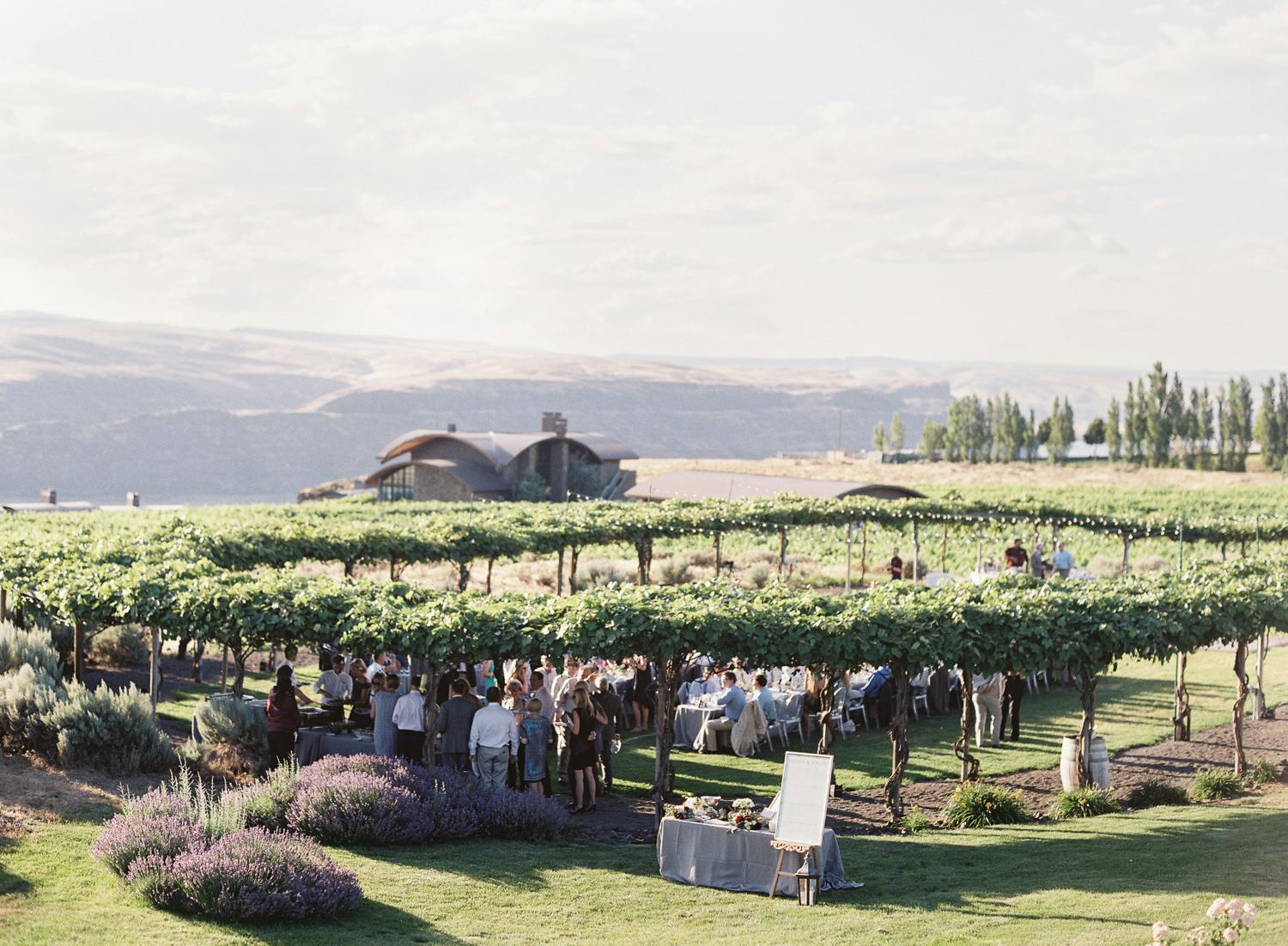 winery wedding at Cave B Estate Winery and Resort | PartySlate