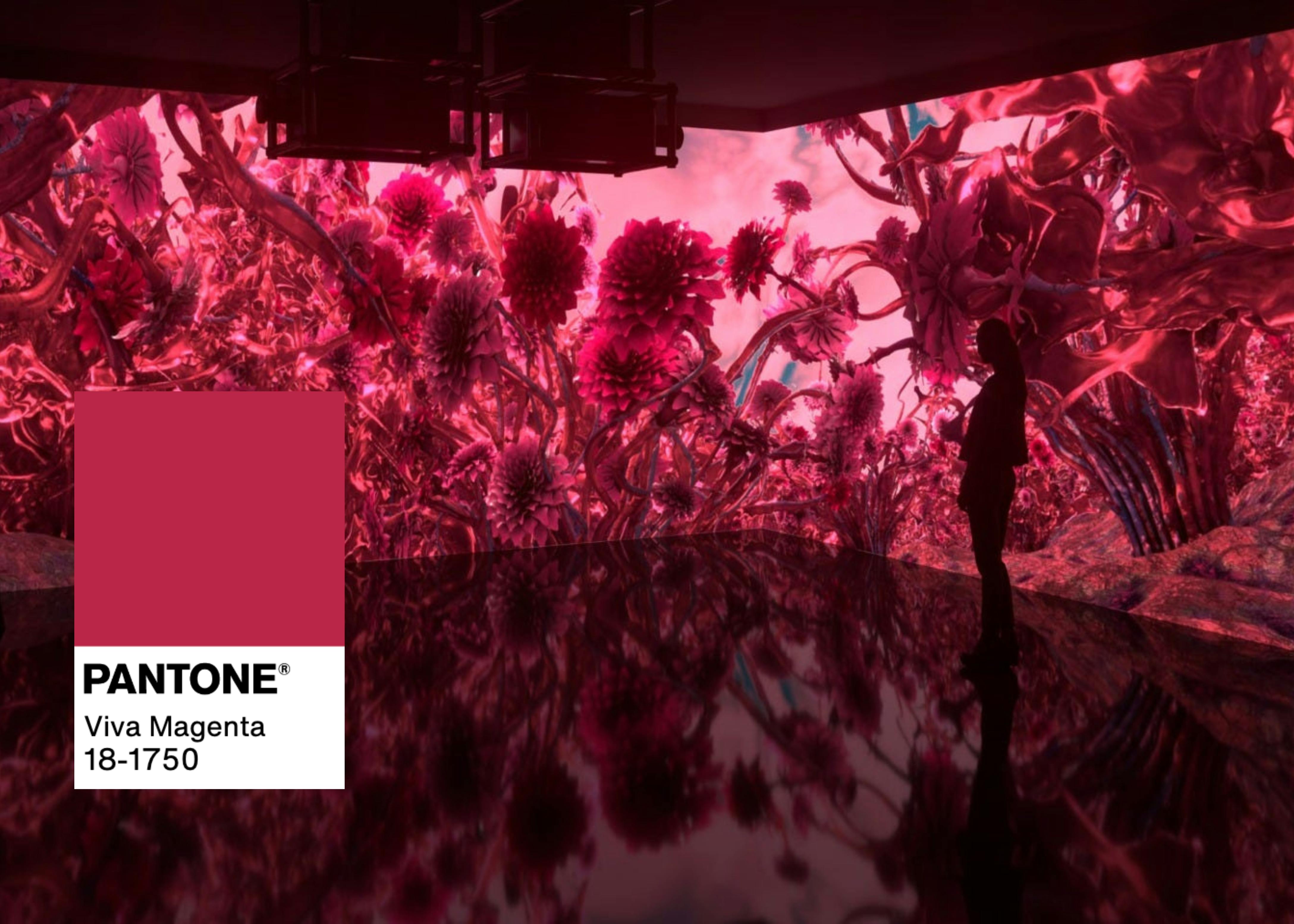How to Make Pantone's Color for 2023, Viva Magenta, the Star of Your Next  Party - PartySlate