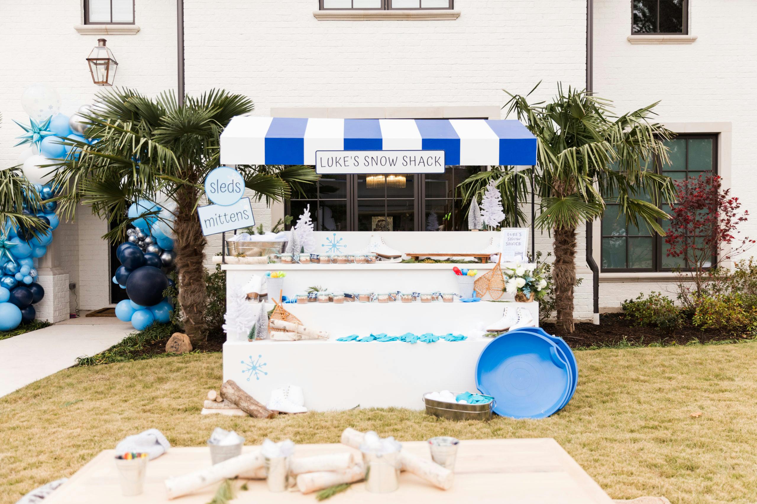 Winter-Themed 1st Birthday Party in Dallas, Texas