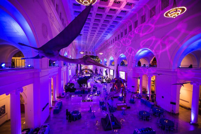 Stunning Corporate Party at the Field Museum in Chicago, IL