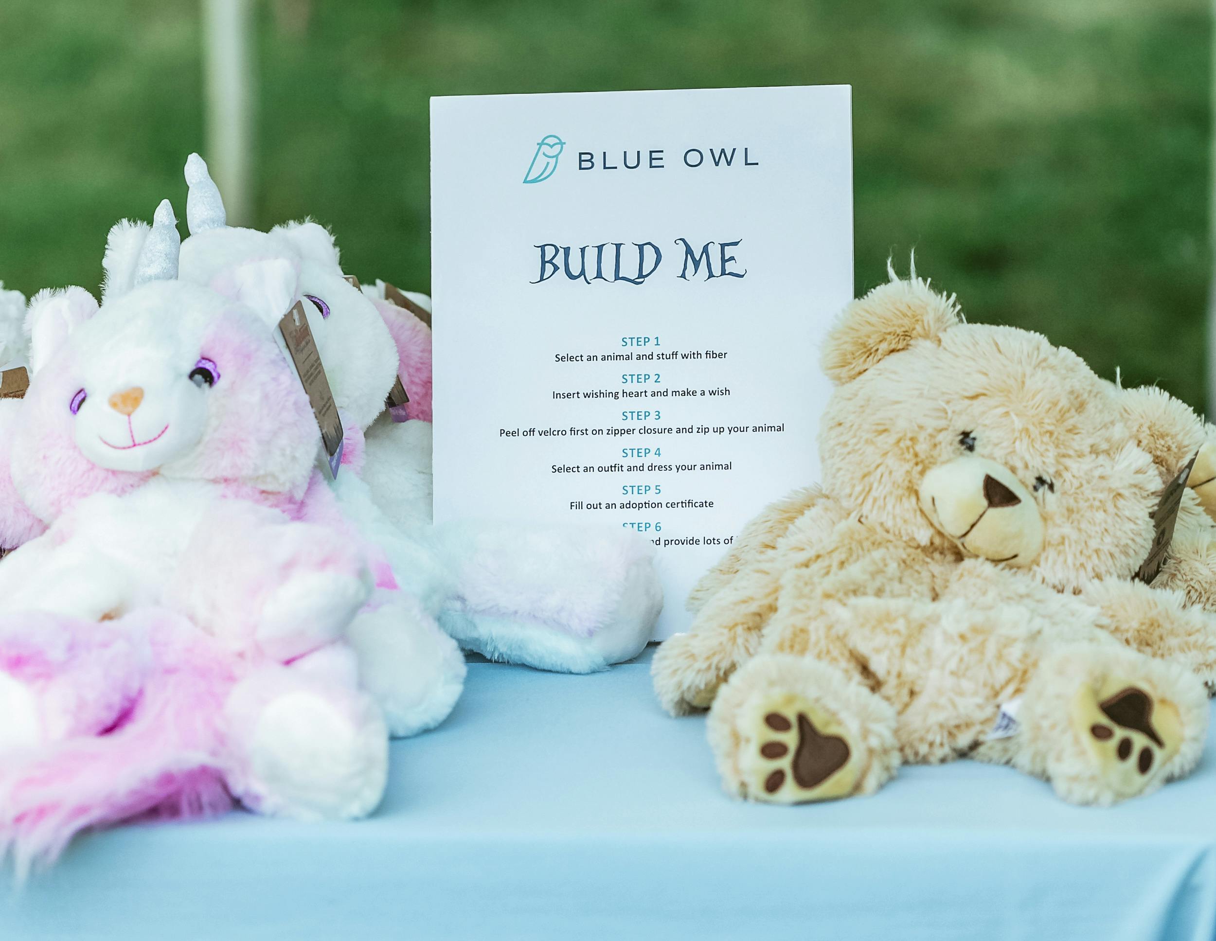 Blue Owl in Wonderland- Corporate Family day picnic