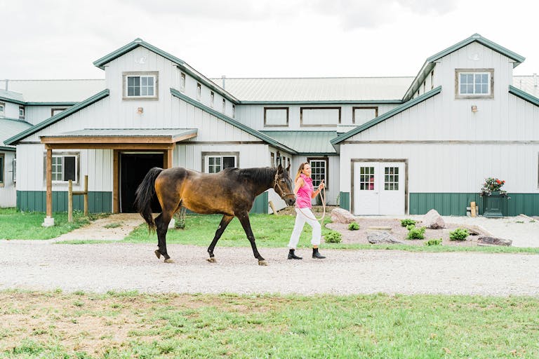 Tasteful Grand Opening of TACS Stables in Hawthorn Woods, Illinois