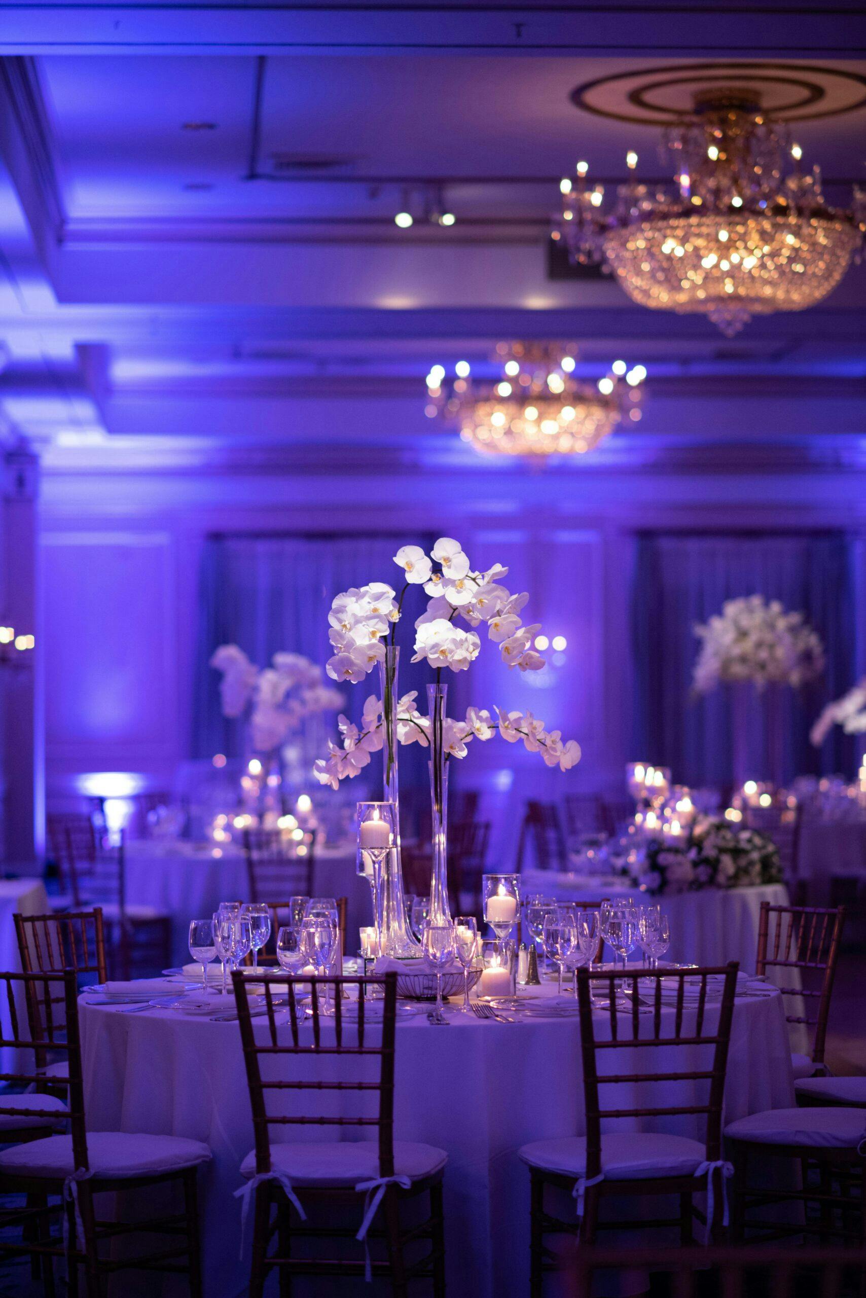 Winter White Wedding in Pearl River, New York