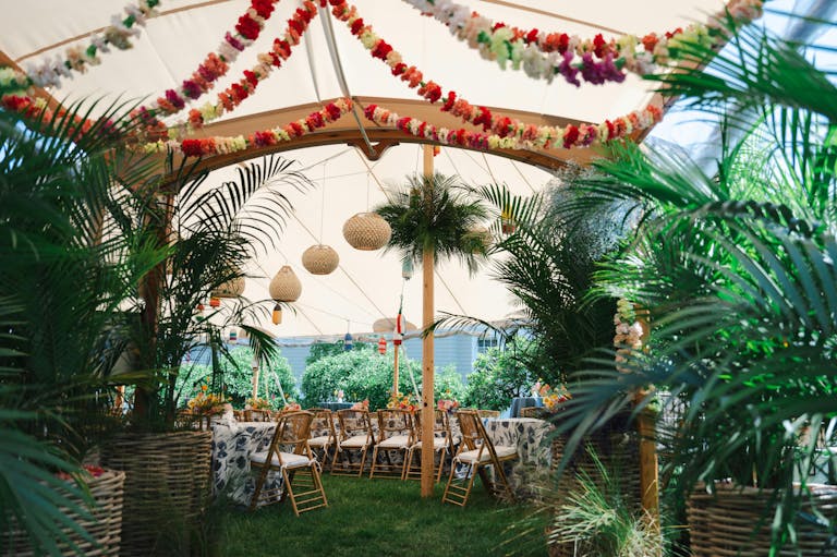 Witness the Tropical Beauty of This Celebration of Life