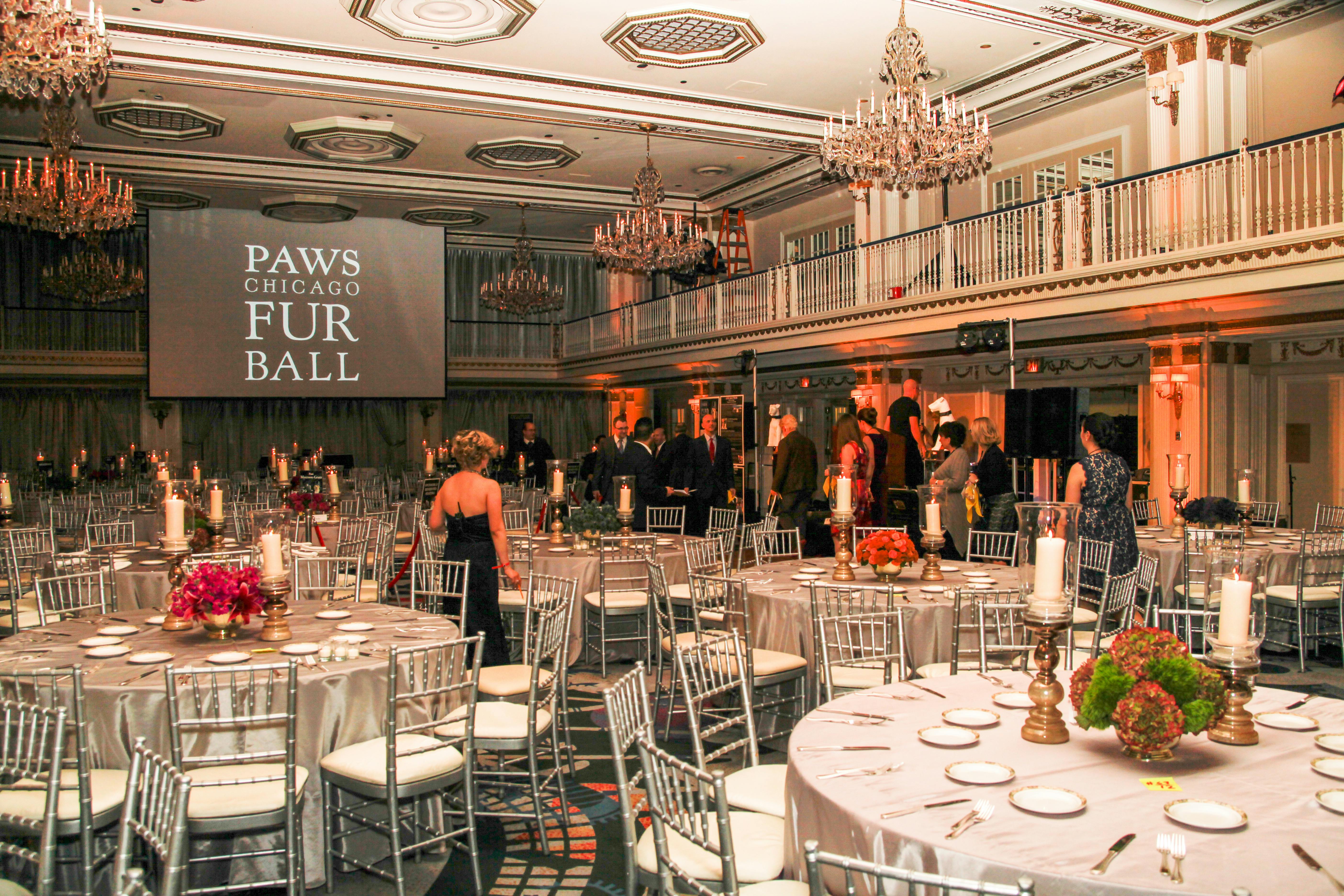 Chicago's Best Galas PartySlate